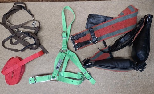 Lunging joblot cob size - lunging, joblot,cob