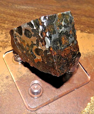 158 gm SERICHO pallasite