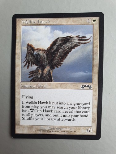 Welkin hawk mtg - ,,