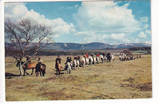 A J. Arthur Dixon Post Card of