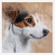 Dog - Jack Russell - Fabric