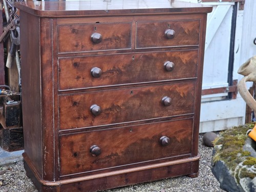 Antique mahogany chest - chest, of