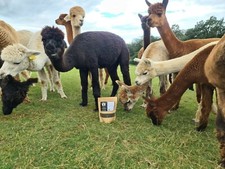 Alpaca Manure Fertiliser