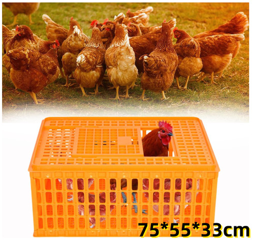 Poultry carrier crate - carrier,