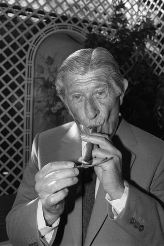 The famous swiss cigar - the,