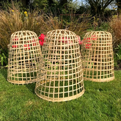 Bamboo bell cloches - bamboo,