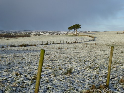 Photo 6x4 wintry carony - photo,