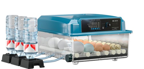 36eggs digital automatic - digital,