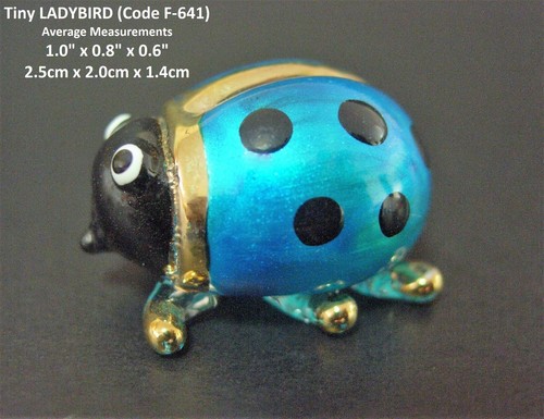 Glass insects ladybird - glass,