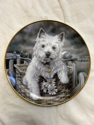 Danbury mint westie plate - mint,