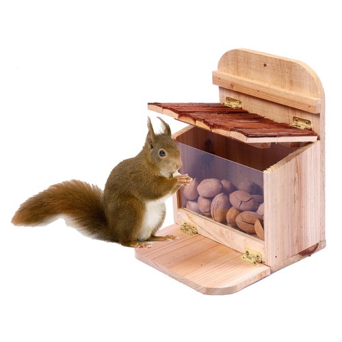 Squirrel feeder - squirrel,