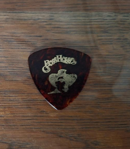 Plektrum the - plektrum, pick)