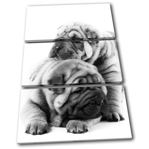 Pug puppies dog - dog, animals