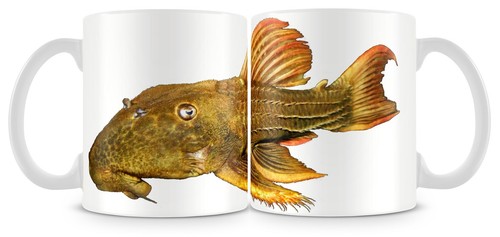 Plecostomus fish mug - fish, l024