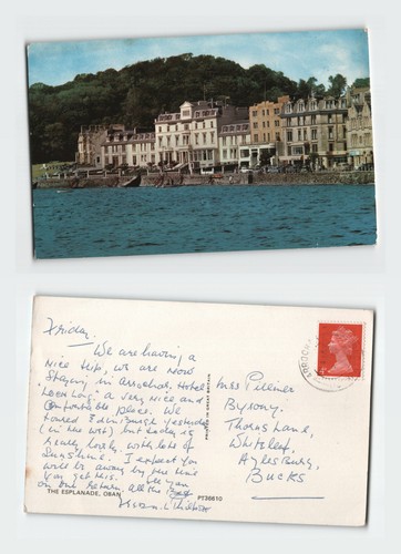 Vintage postcard the esplanade - vintage,