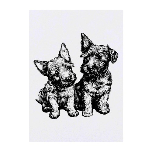 Scottish terrier puppies - 'scottish,