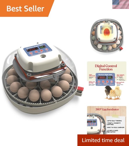 Revolutionary egg incubator - egg,
