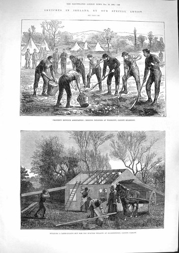 Original old antique print - original,