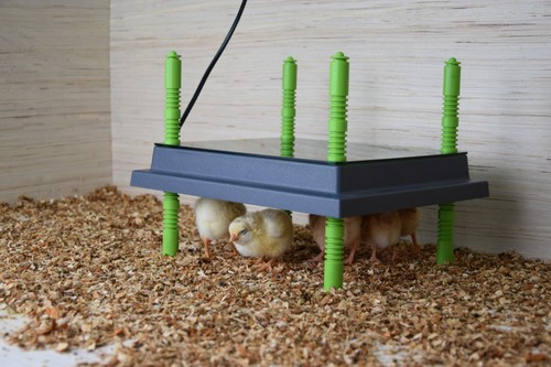 60w chicken heat plate - 60w,