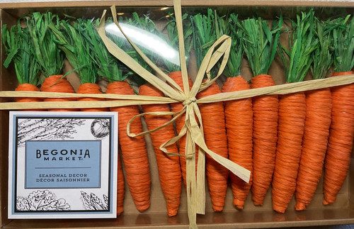 Begonia market carrots - market,