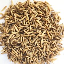 Dried Calciworms 5Kg / Calci Worms Wild Birds Fish Reptile Rodent Like Mealworms