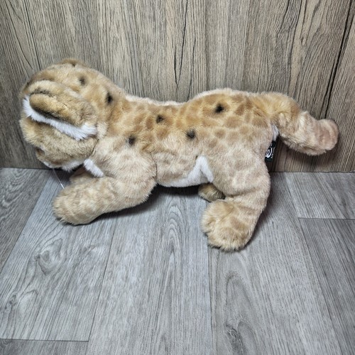 Living nature lion - nature, cub