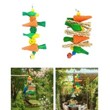 Parrot Chewing Toy Hanging