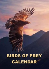 Birds Of Prey Calendar 2026