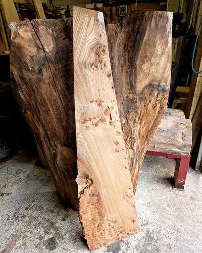Elm burl wood slab live - elm,