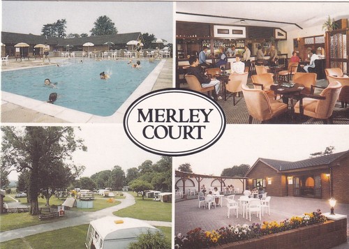 Wimborne merley court - 🌅,