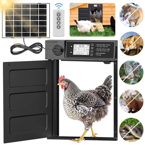 Chicken coop door - chicken,