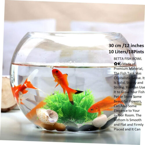 Glass handmade large fish - large,
