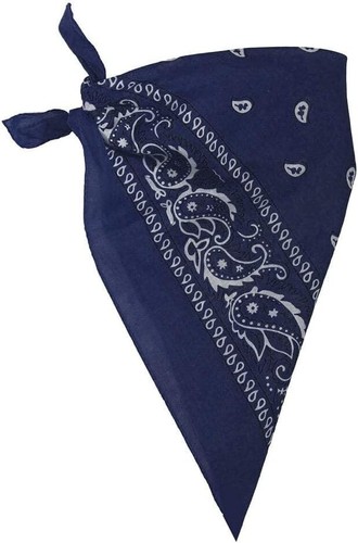 Blue 100 cotton - cotton, paisley
