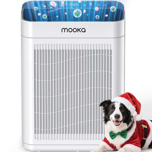 Home large room air purifiers - room,