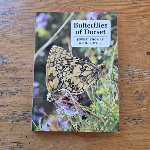 Butterflies dorset by - butterflies,