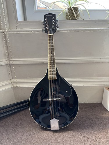Ashbury style mandolin - a-style,