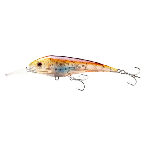Nomad design dtx - minnow, 145