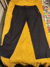 Official Stagecoach Bus Driver