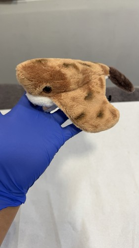Small brown plush - , toy