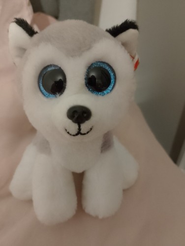 Buff the husky - husky, baby