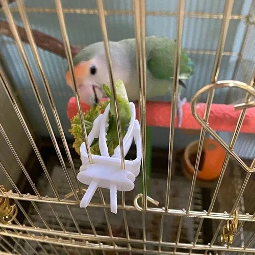 Cute small pet bird food - pet,