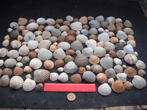 Job lot 150 mixed - 150, size/