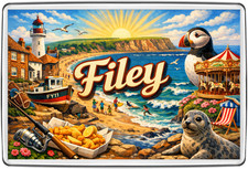 Filey yorkshire coast puffin - filey,
