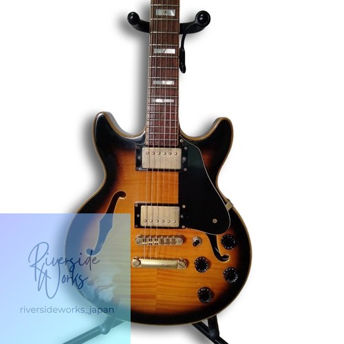Rare jay turser semi acoustic - rare, semi-acoustic