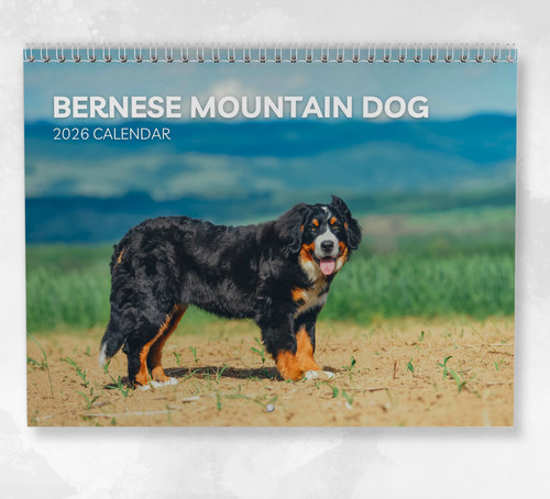 Bernese mountain dog calendar - bernese,
