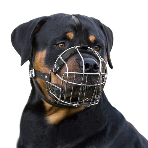 Strong dog muzzle metal - strong,