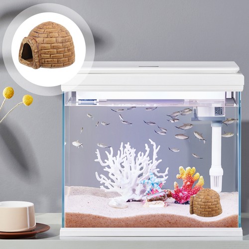 Hermit crab hideout shrimp - hermit,