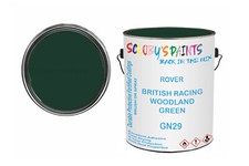 Classic Paint For Wolseley