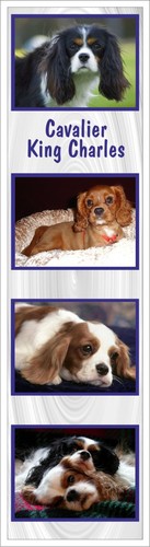 Dog bookmarks king - dog,