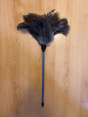 Economy ostrich feather